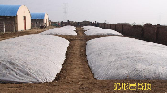 玉米秸秆青储:封顶、盖土