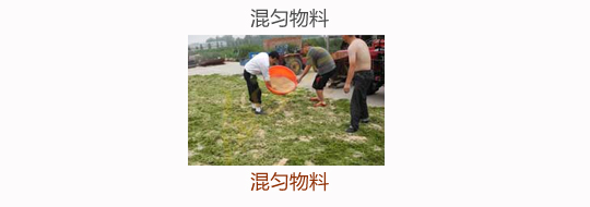 微生物发酵饲料:混合物料