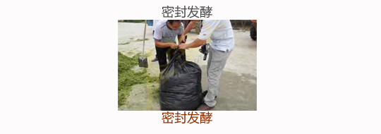 微生物发酵饲料:密封发酵
