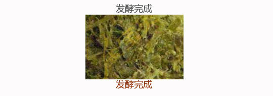 微生物发酵饲料:发酵完成