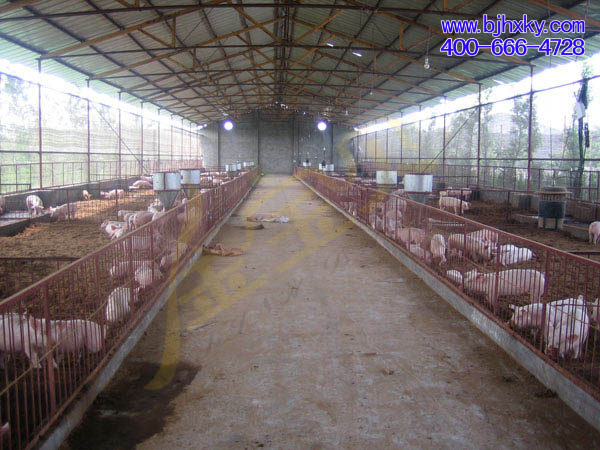 发酵床养猪圈舍建造
