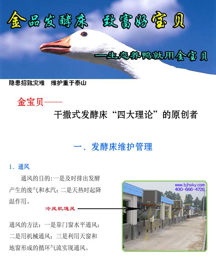 发酵床养鸭菌种