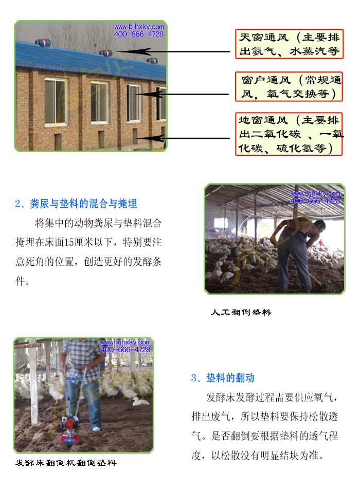 发酵床养鸭菌种
