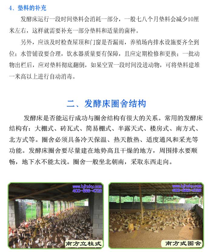 发酵床养鸭菌种
