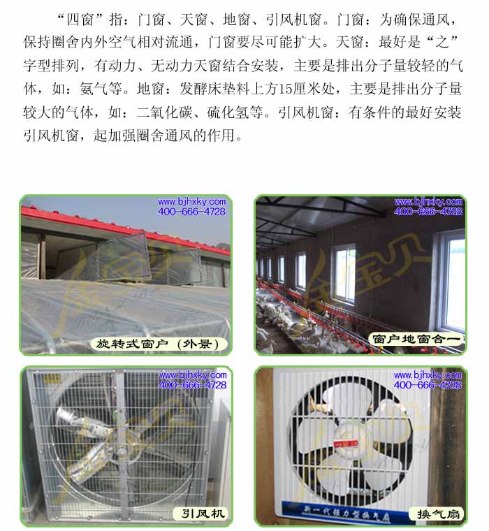 发酵床养鸭菌种