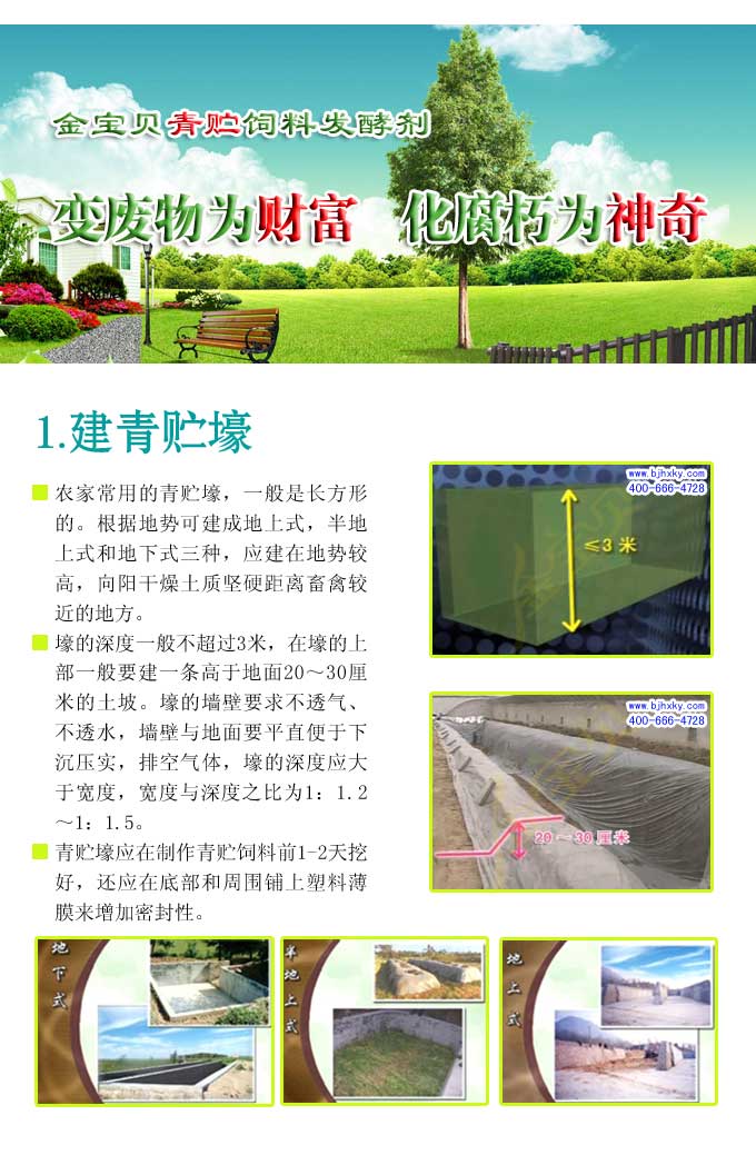 青贮发酵剂