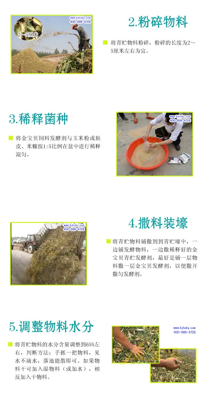 青贮发酵剂