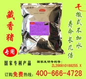 藏香猪发酵床菌种_生态养殖技术
