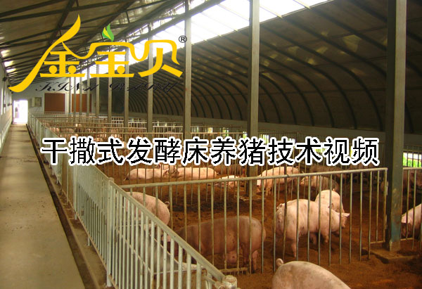 [视频]发酵床养猪技术视频